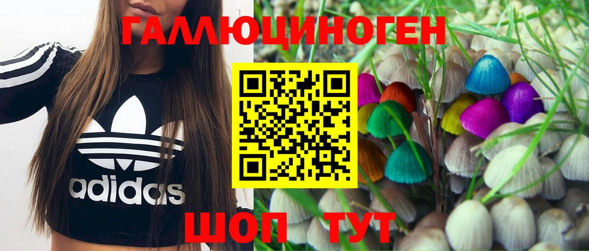 Галлюциногенные грибы Magic Shrooms Сухой Лог